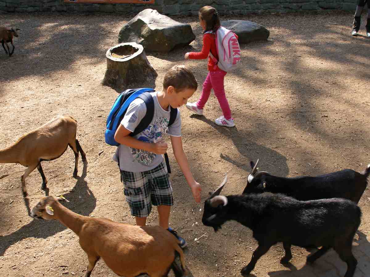 Zoo Ostrava 14. 8. 2013